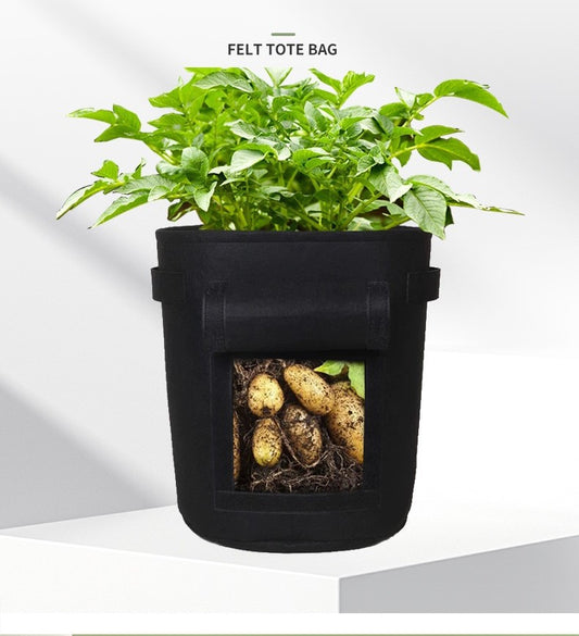 43L/ 10 Gallon Black  Potato Bag - 5 Pack