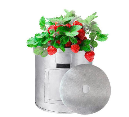 43L/ 10 Gallon Silver Potato Bag - Single Pack